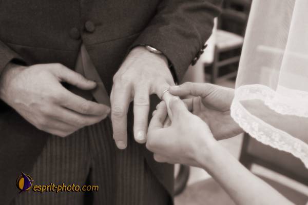 Nom de l'image : 090509-1449_04MES_515sp — Description :