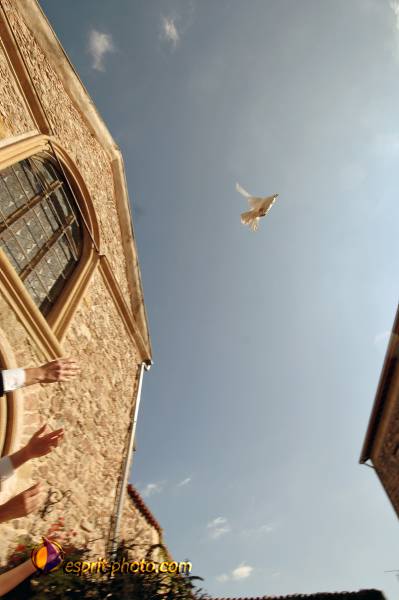 Nom de l'image : 070908-1719_D2242884_1 — Description :