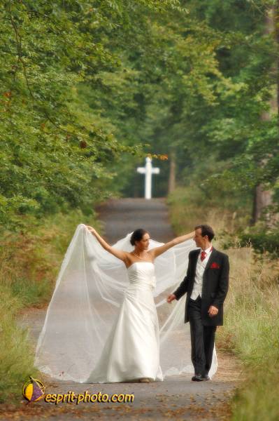 Nom de l'image : 050911-1923_06PAR_240ad — Description :  Mariage JEROME et VIOLAINE - Photos fait dans la forêt de Compiè