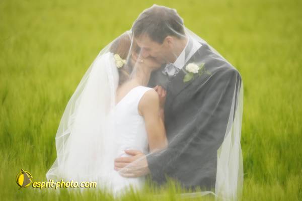 Nom de l'image : 090509-2159_06PAR_538ad — Description :