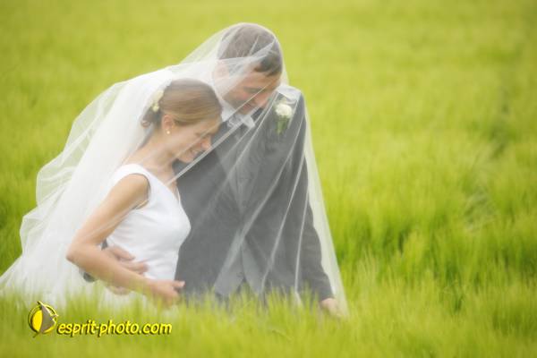 Nom de l'image : 090509-2200_06PAR_546ad — Description :