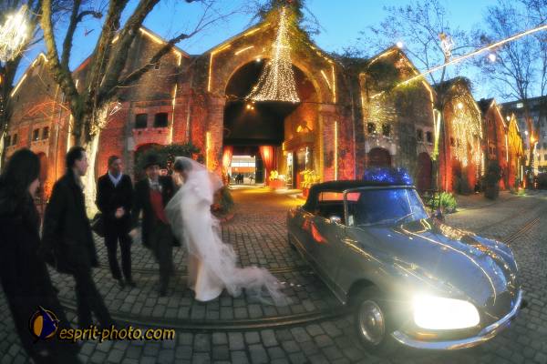 Nom de l'image : 090103-1844_20090103-174419_D30040735_1535ad — Description :