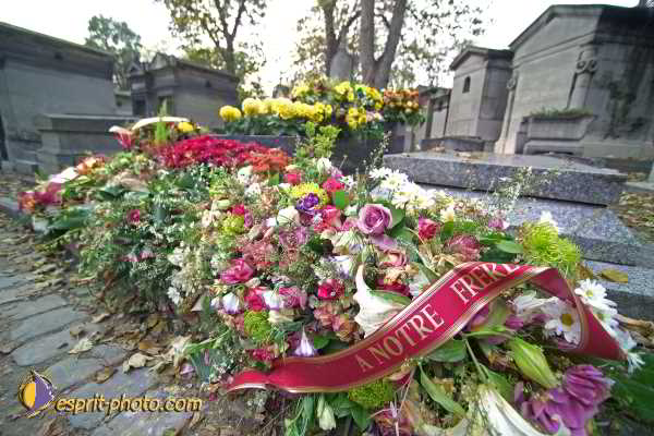 Nom de l'image : D1191G993-2 — Description :  Cimetière Père Lachaise
