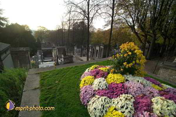 Nom de l'image : D1192G006-1 — Description :  Cimetière Père Lachaise
