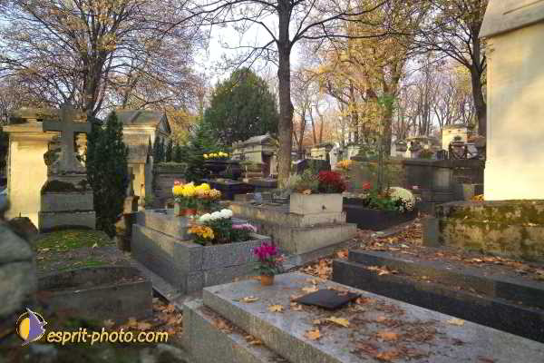 Nom de l'image : D1192G020-1 — Description :  Cimetière Père Lachaise