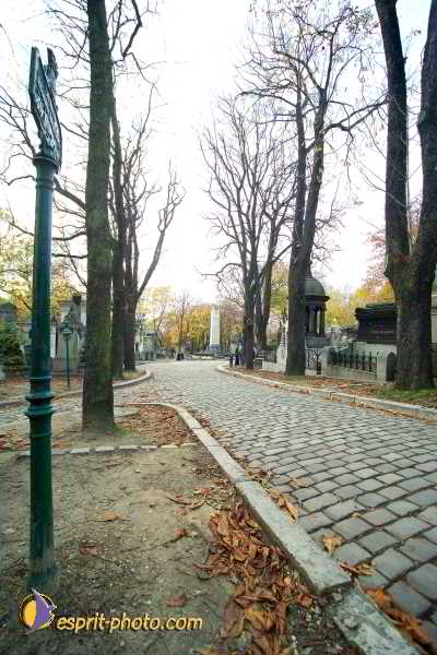 Nom de l'image : D1192G026-1 — Description :  Cimetière Père Lachaise