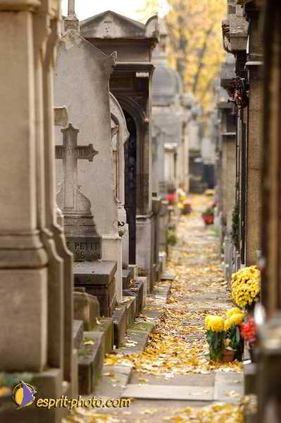 Nom de l'image : D1194016-1 — Description :  Cimetière Père Lachaise