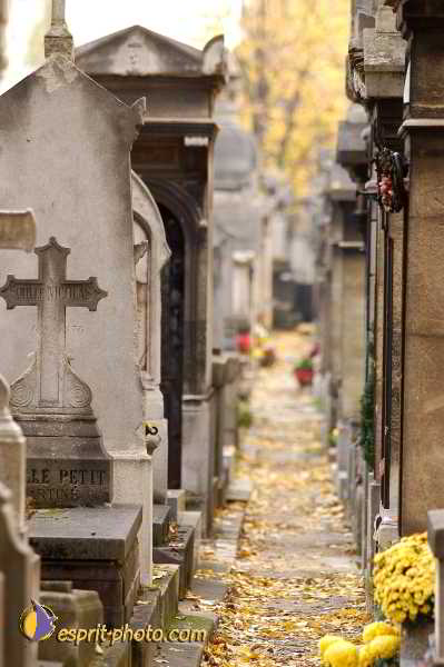Nom de l'image : D1194018-1 — Description :  Cimetière Père Lachaise