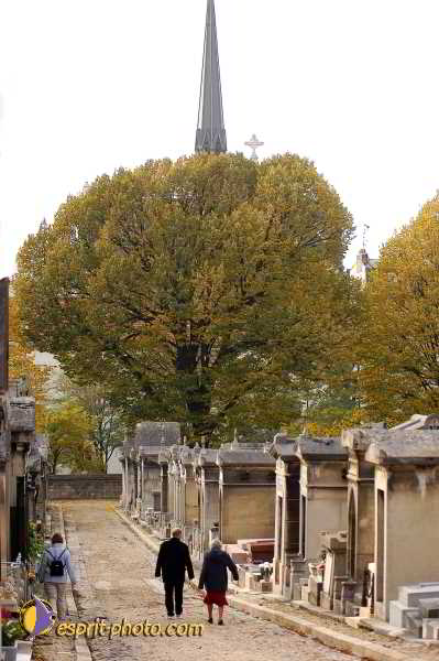 Nom de l'image : D1194019-2 — Description :  Cimetière Père Lachaise