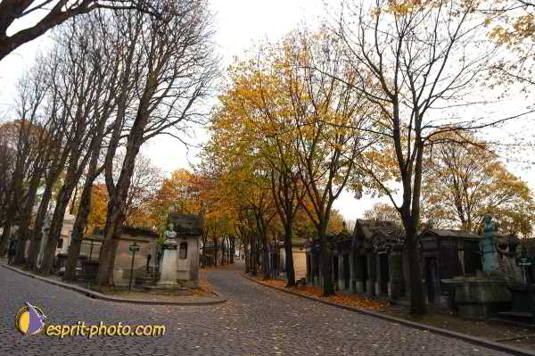 Nom de l'image : D1194081-1 — Description :  Cimetière Père Lachaise