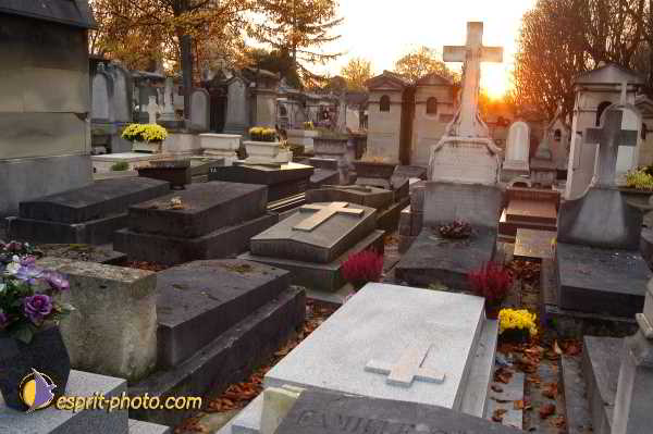 Nom de l'image : D1194110-1 — Description :  Cimetière Père Lachaise