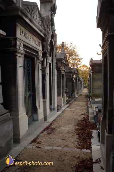 Nom de l'image : D1194123-1 — Description :  Cimetière Père Lachaise