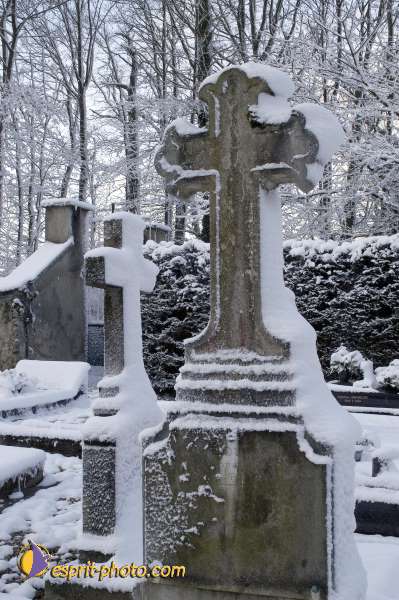 Nom de l'image : EG-R-243 — Description :