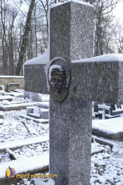 Nom de l'image : EG-R-245 — Description :