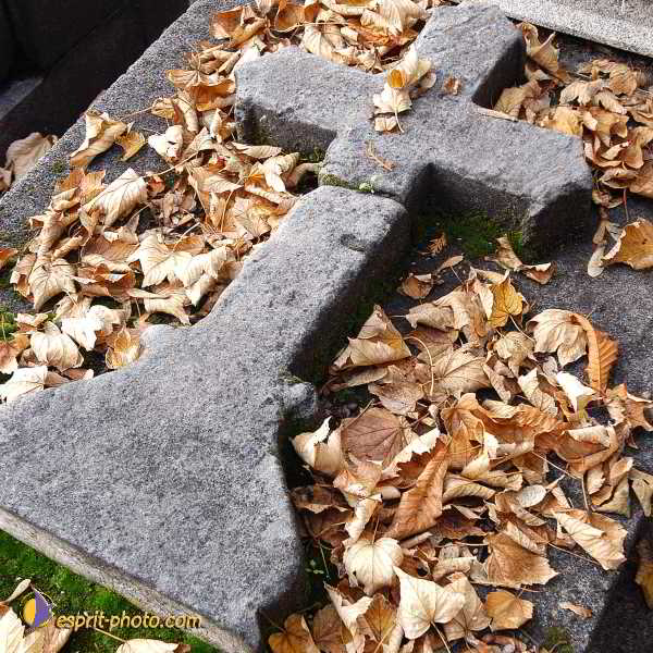 Nom de l'image : D1194035-2 — Description :  Cimetière Père Lachaise