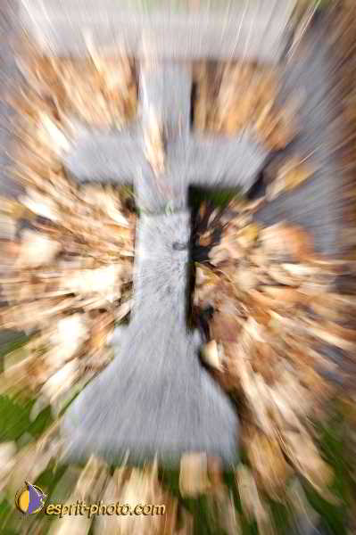 Nom de l'image : D1194050-1 — Description :  Cimetière Père Lachaise