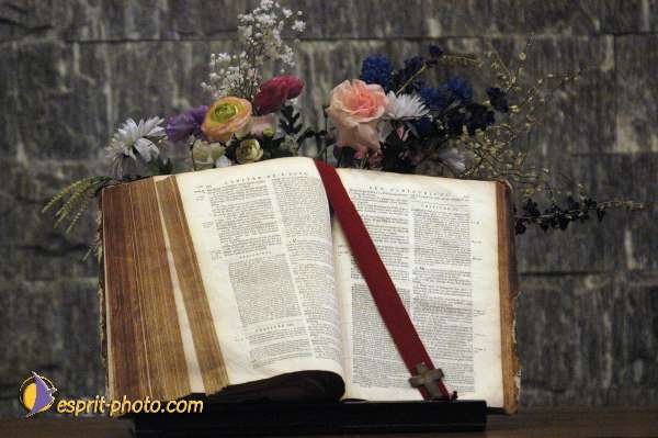 Nom de l'image : E00025335-1 — Description :