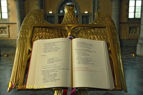 Nom de l'image : D2211527_1 — Description :