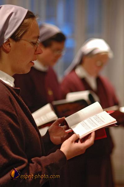 Nom de l'image : D2209385_1 — Description :