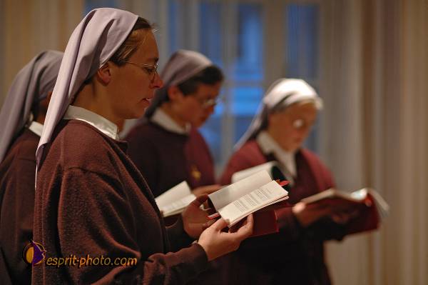 Nom de l'image : D2209386_1 — Description :