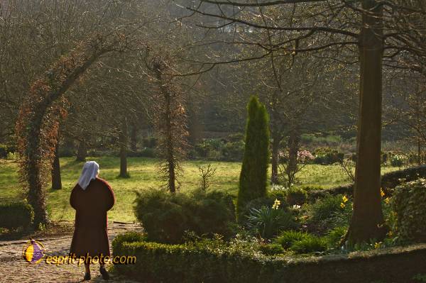 Nom de l'image : D2209718_1 — Description :