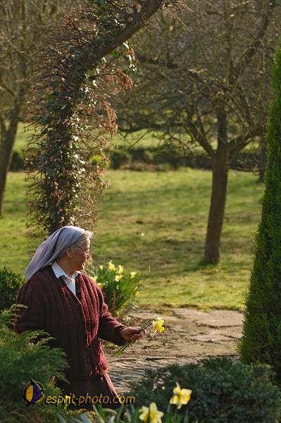 Nom de l'image : D2209730_1 — Description :