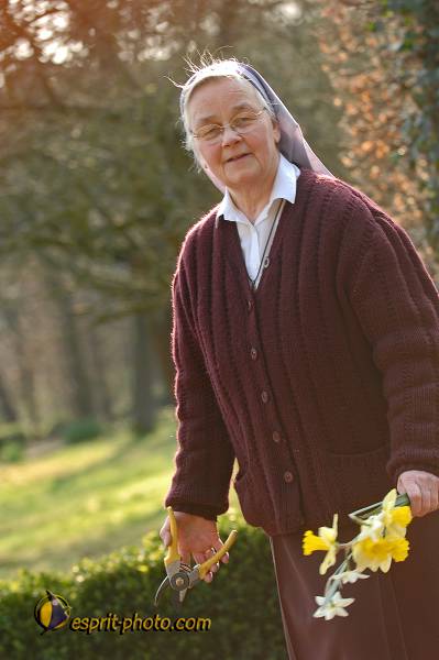 Nom de l'image : D2209763_1 — Description :