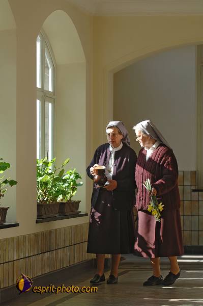 Nom de l'image : D2209827_1 — Description :