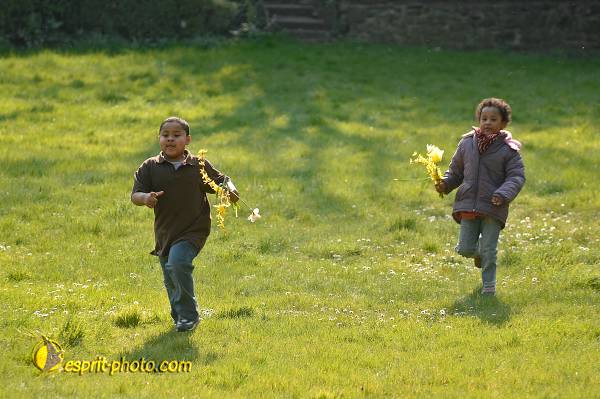 Nom de l'image : D2210290_1 — Description :