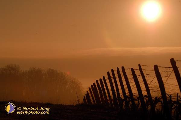 Nom de l'image : D1115949-01 — Description :