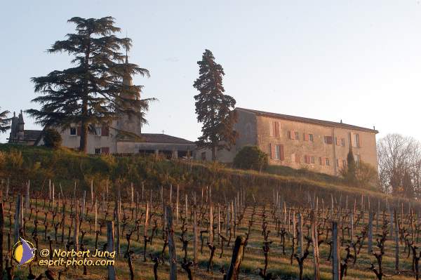 Nom de l'image : D1115951-01 — Description :