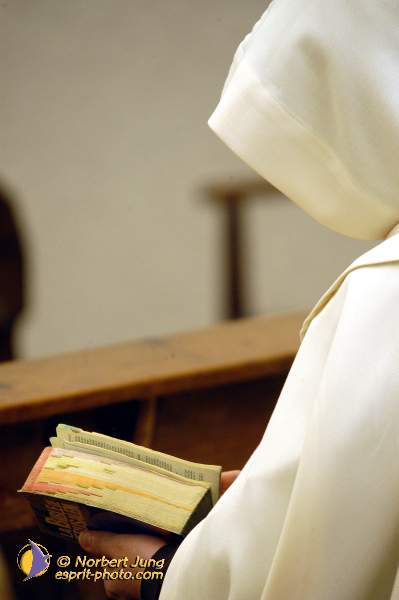 Nom de l'image : D1116350-01 — Description :