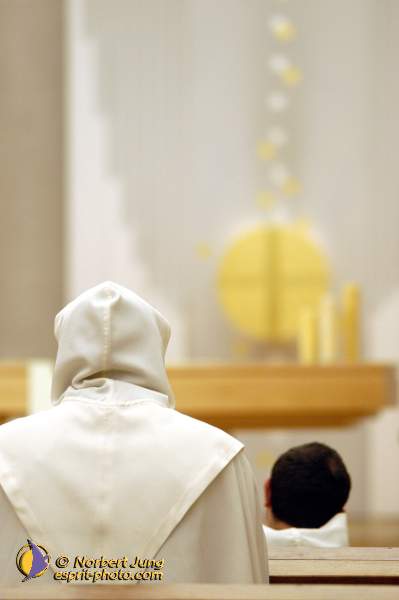 Nom de l'image : D1116383-01 — Description :