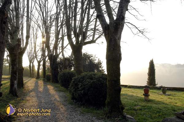 Nom de l'image : D1116542-01 — Description :