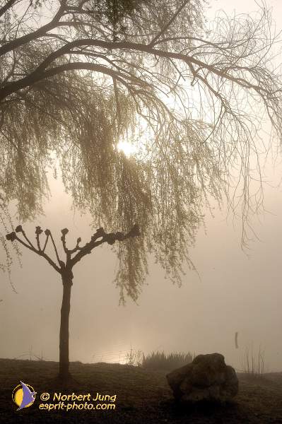 Nom de l'image : D1116610-01 — Description :