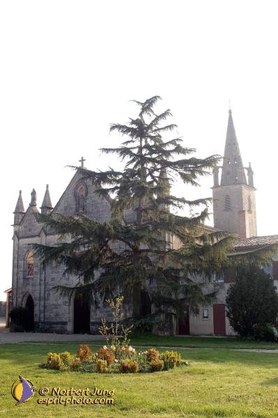 Nom de l'image : D1116651-nef-01 — Description :