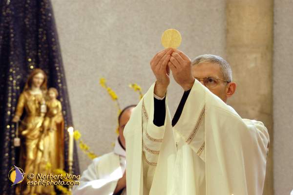 Nom de l'image : D1116815-01 — Description :