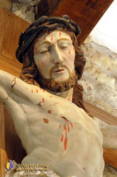 Nom de l'image : D1116879-nef-01 — Description :