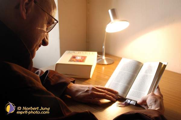 Nom de l'image : D1117021-01 — Description :