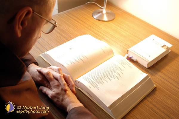 Nom de l'image : D1117031-01 — Description :