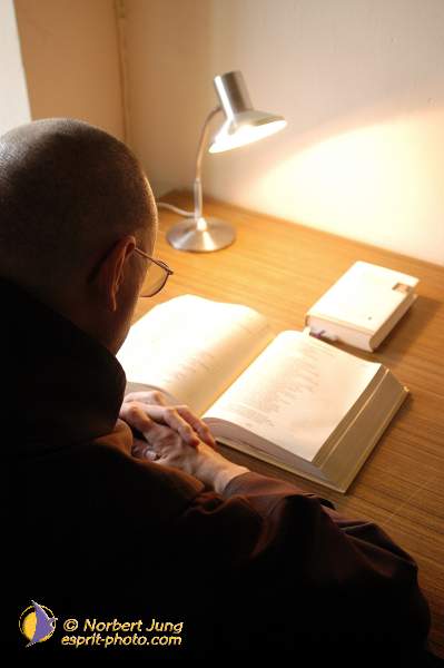 Nom de l'image : D1117038-01 — Description :