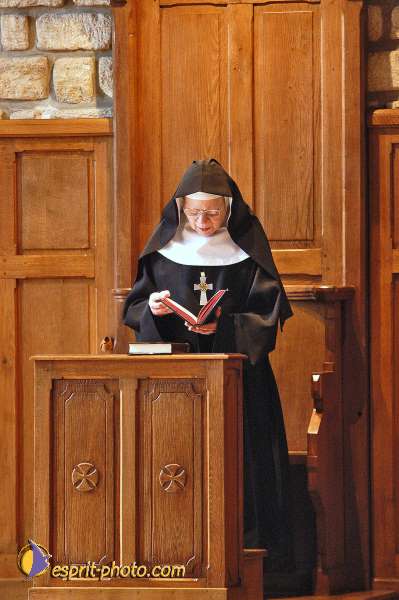 Nom de l'image : E00037528-1 — Description :