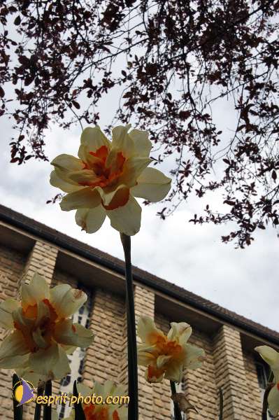 Nom de l'image : E00037611-1 — Description :