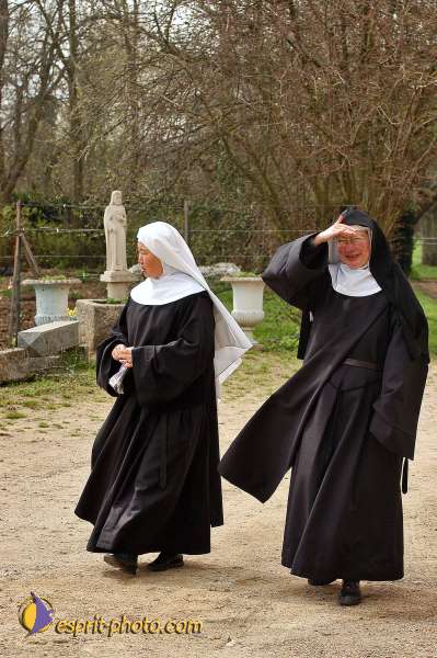 Nom de l'image : E00037701-1 — Description :