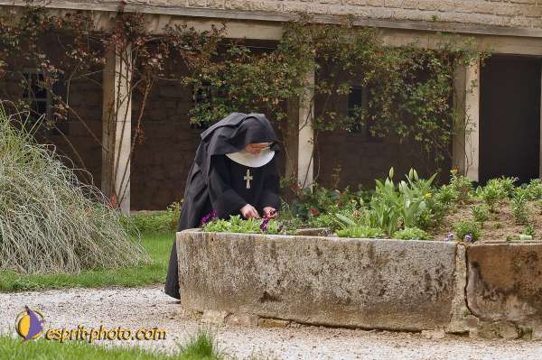 Nom de l'image : E00037714-1 — Description :