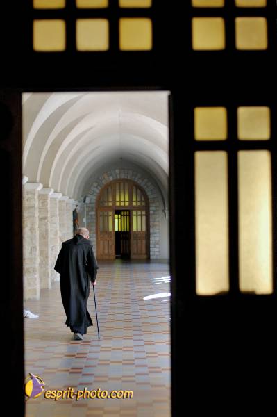 Nom de l'image : D2239705_1 — Description :