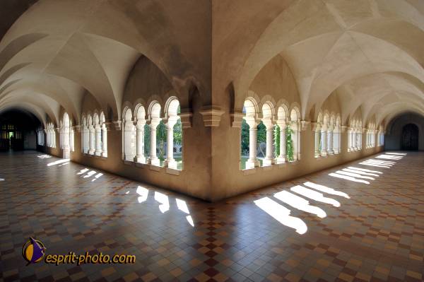 Nom de l'image : D2239716_1 — Description :