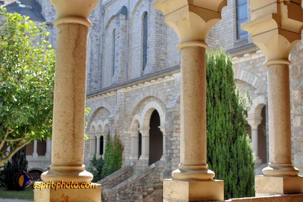 Nom de l'image : D2239735_1 — Description :