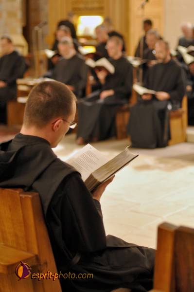 Nom de l'image : D2239793_1 — Description :