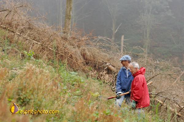 Nom de l'image : D2239983_1 — Description :